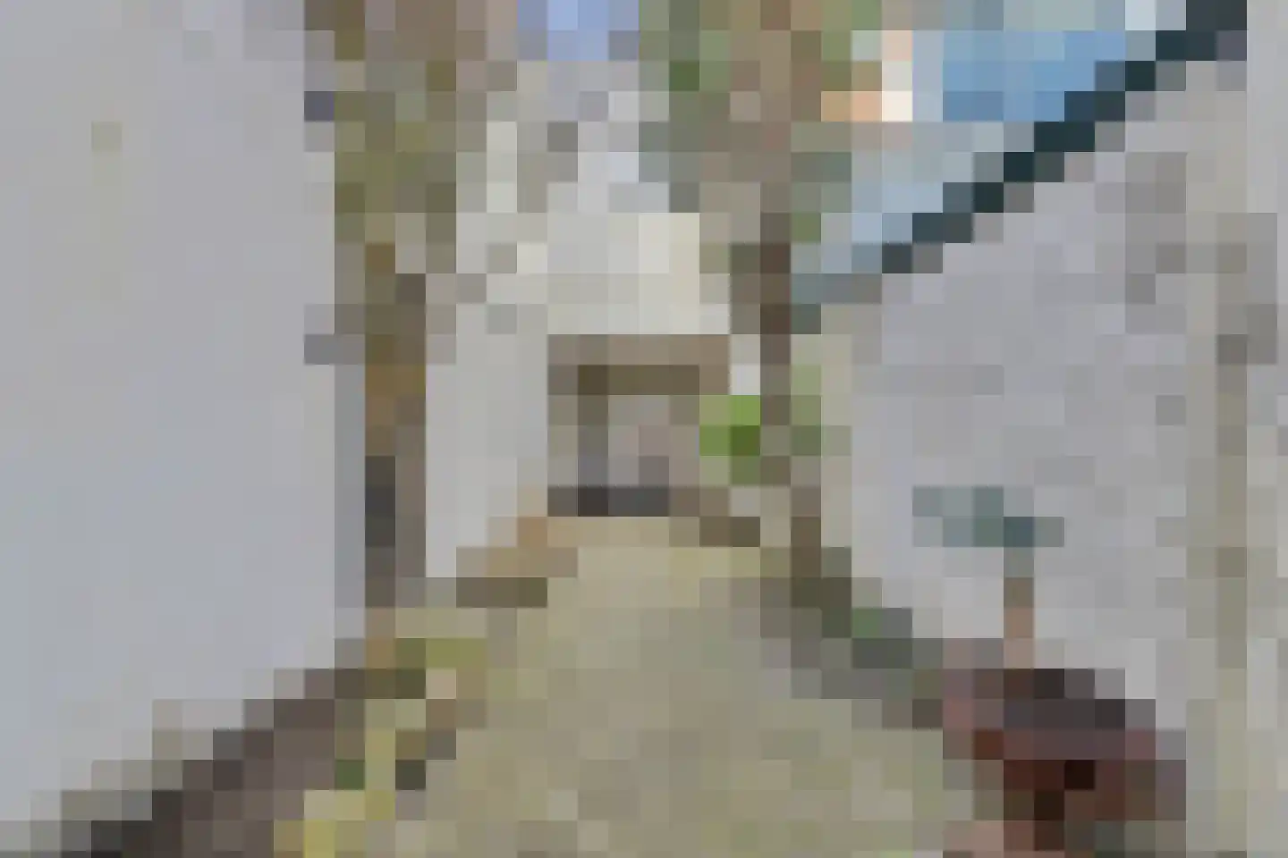 Herenstraat 44 B Monster thumbnail 41