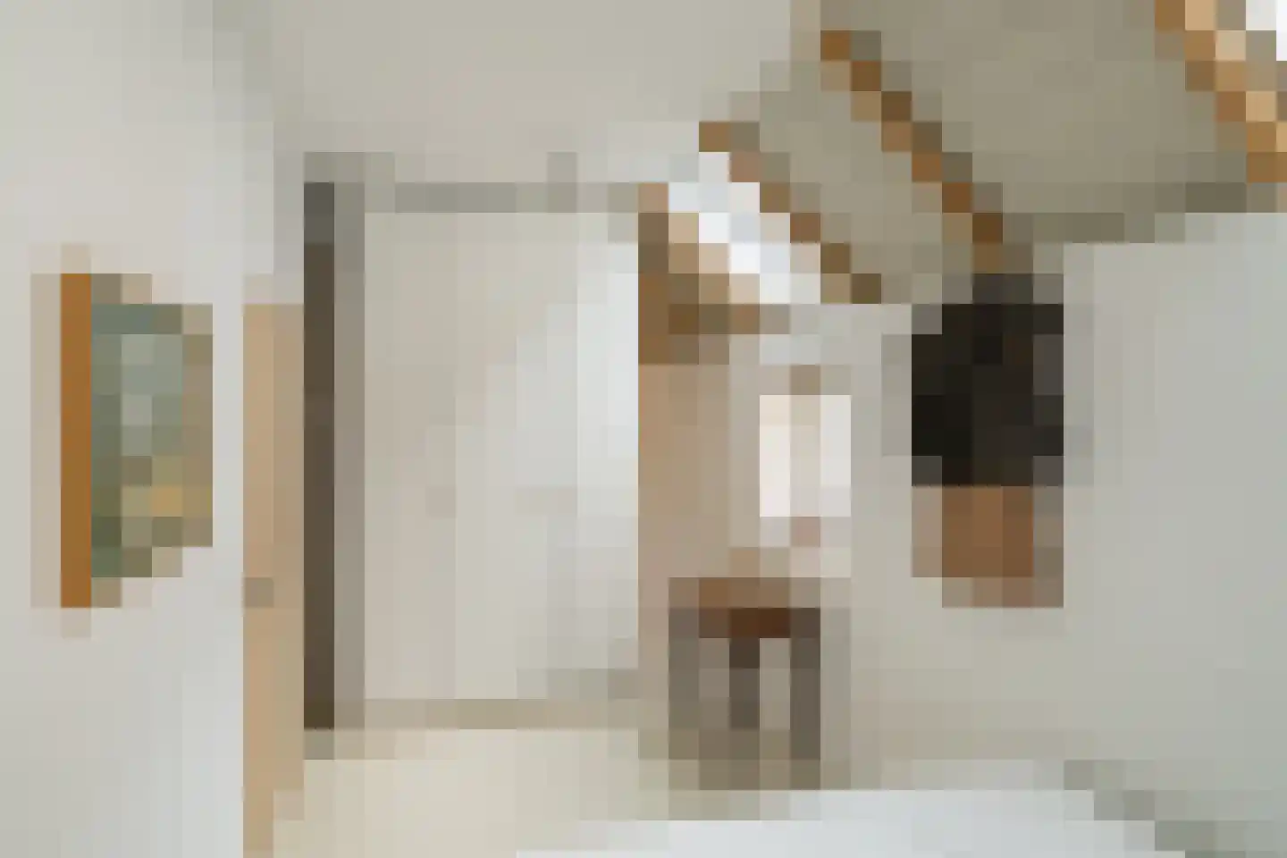 Herenstraat 44 Bussum thumbnail 13