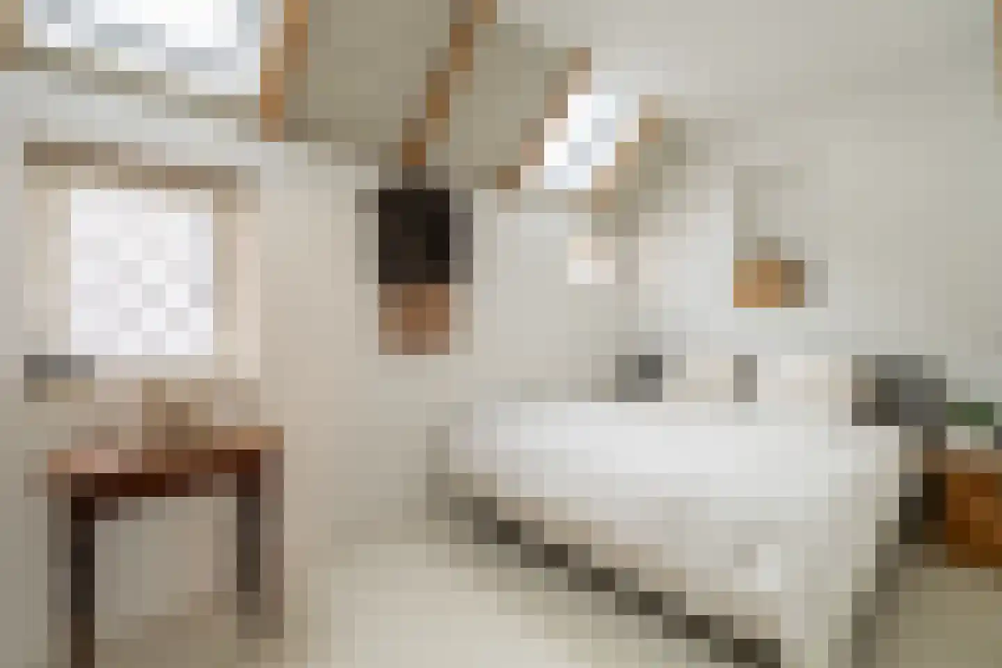 Herenstraat 44 Bussum thumbnail 14