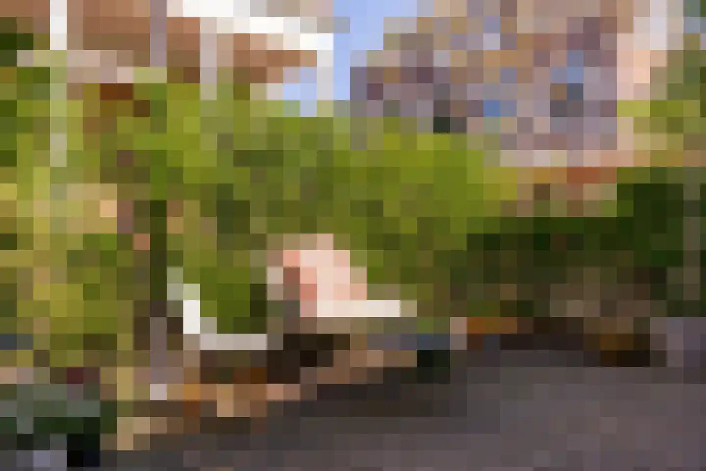 Herenstraat 44 Bussum thumbnail 21