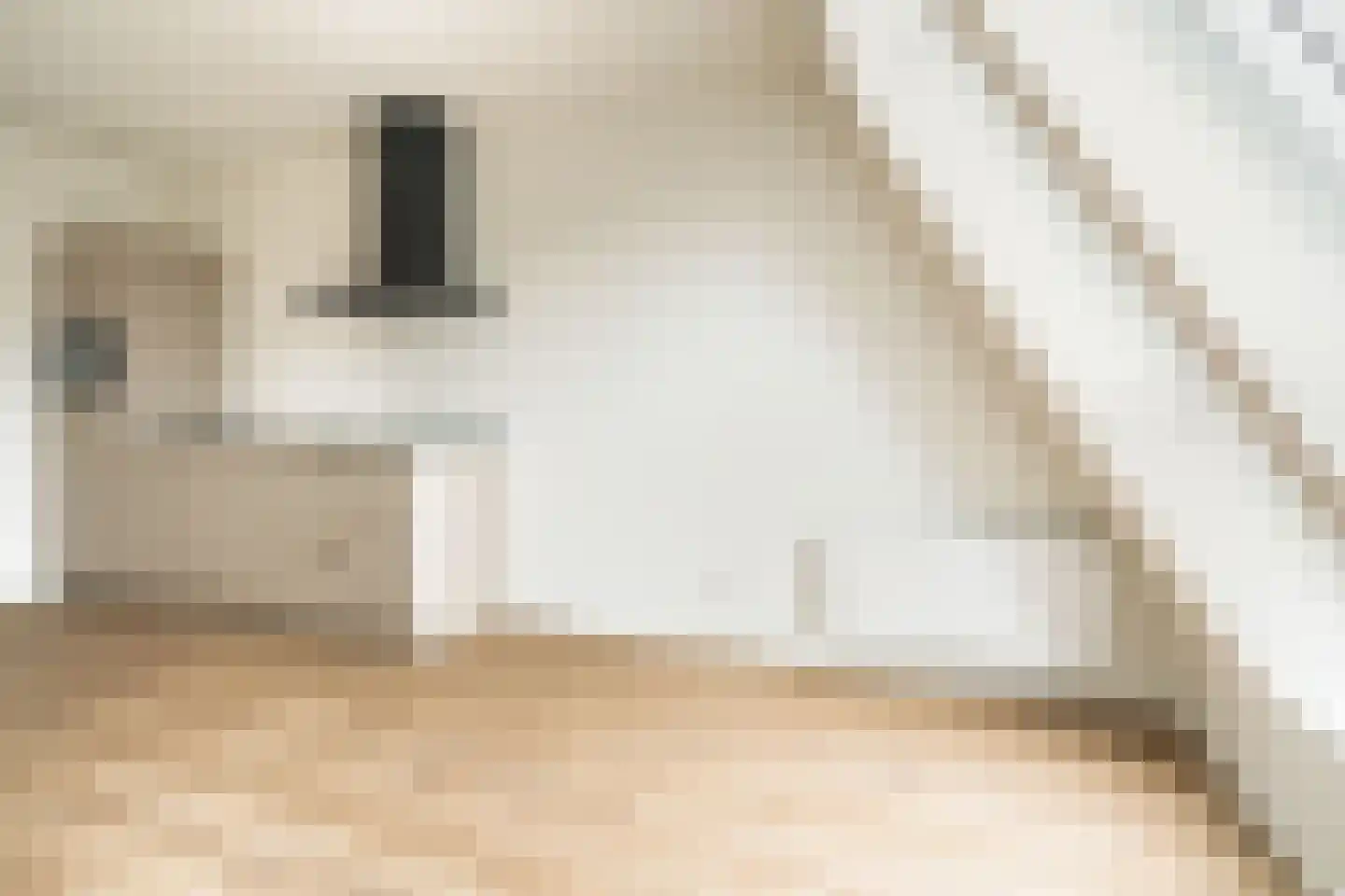 Herenstraat 45 D Wageningen thumbnail 9