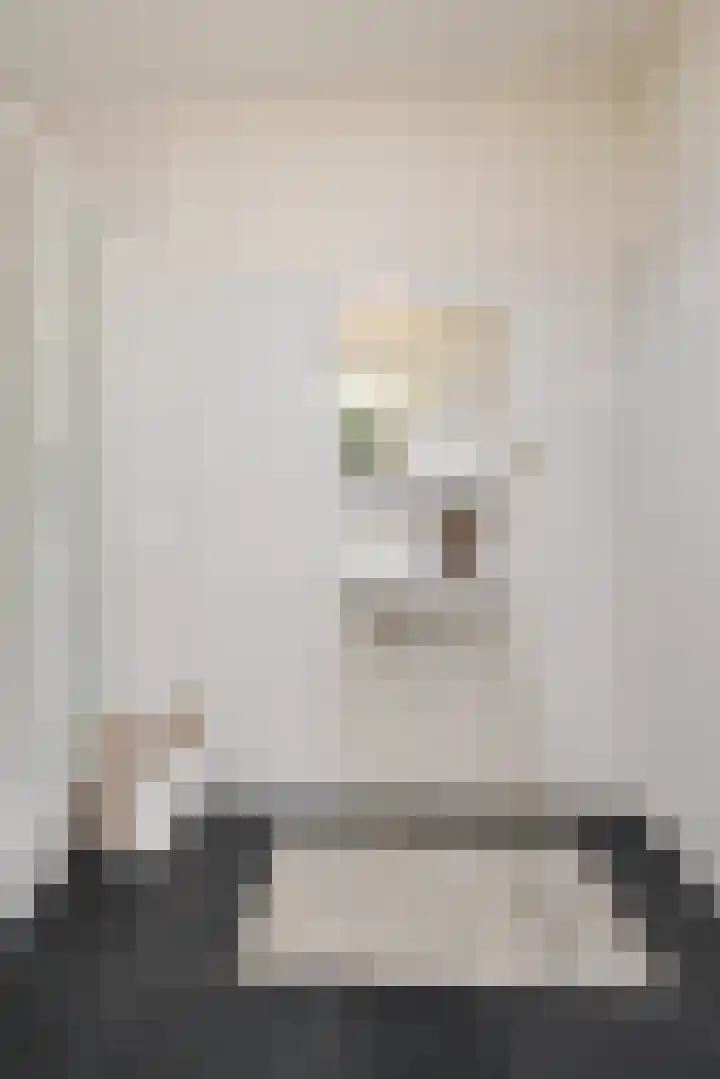 Herenstraat 48 a Rijswijk thumbnail 27
