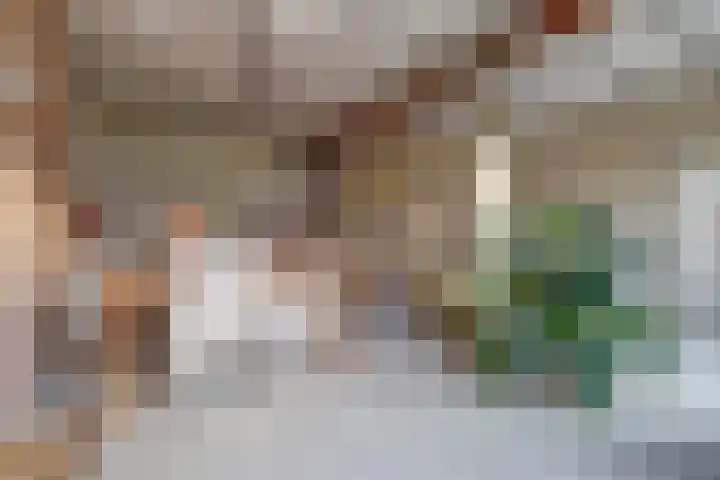 Herenstraat 48 Wijchen thumbnail 43