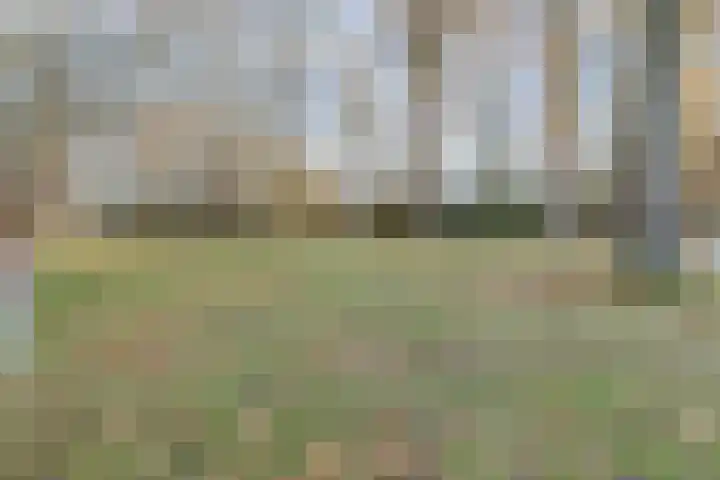 Herenstraat 48 Wijchen thumbnail 63