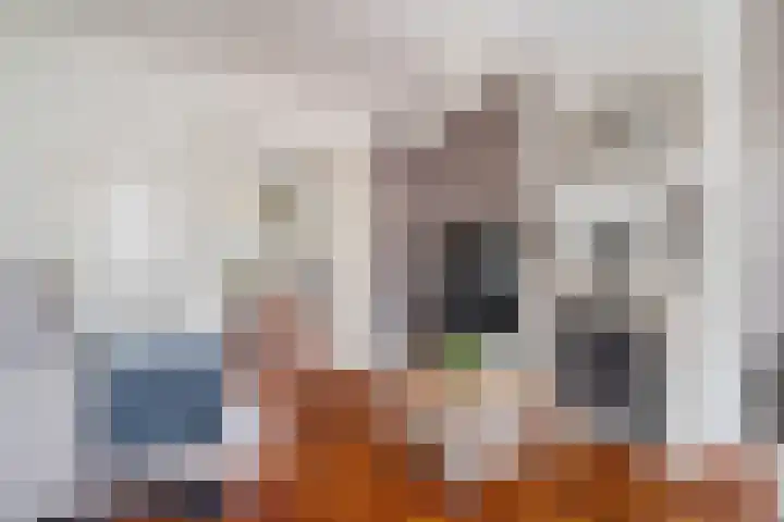 Herenstraat 49 Monster thumbnail 11