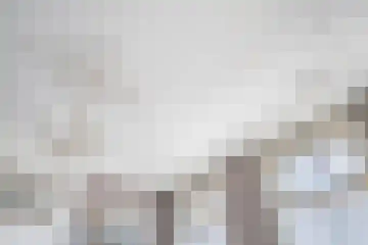 Herenstraat 49 Monster thumbnail 12