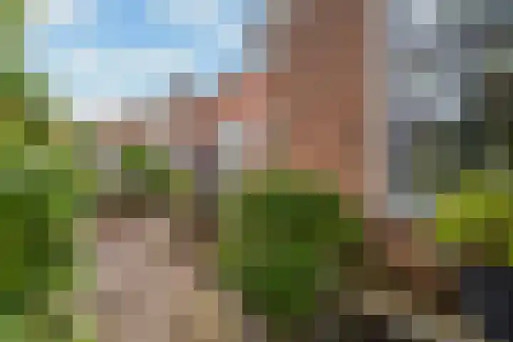 Herenstraat 49 Monster thumbnail 43