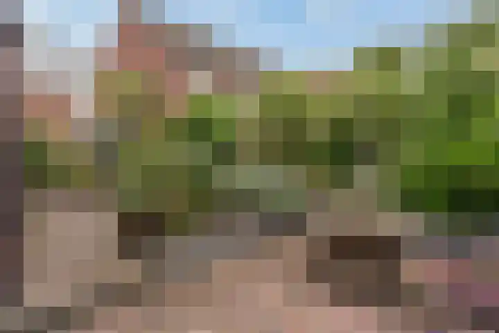 Herenstraat 49 Monster thumbnail 45