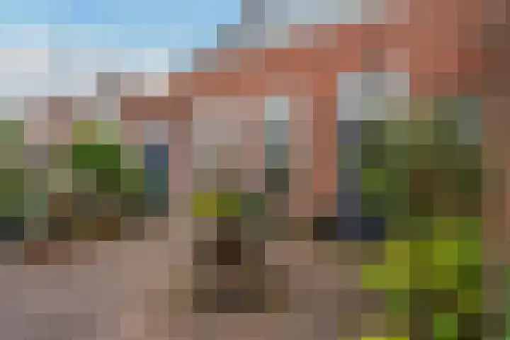 Herenstraat 49 Monster thumbnail 46
