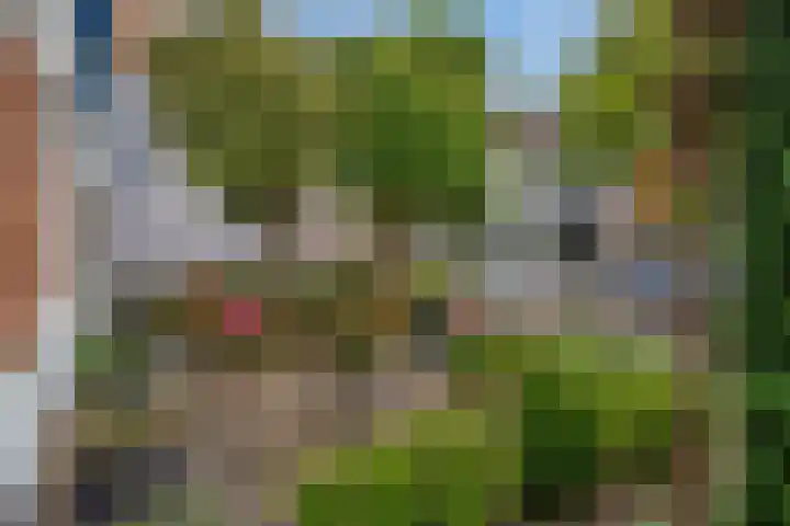 Herenstraat 49 Monster thumbnail 53