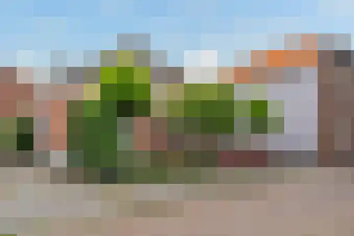 Herenstraat 49 Monster thumbnail 54