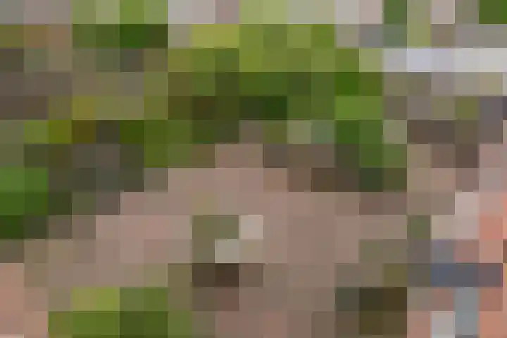 Herenstraat 49 Monster thumbnail 6