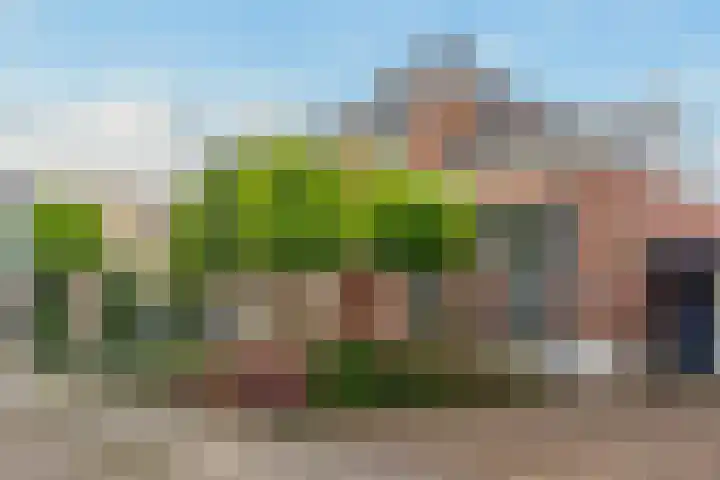 Herenstraat 49 Monster thumbnail 7