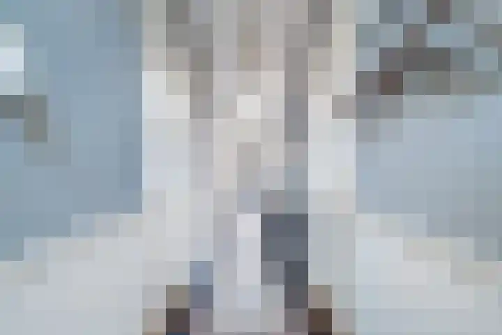 Herenstraat 49 Monster thumbnail 8