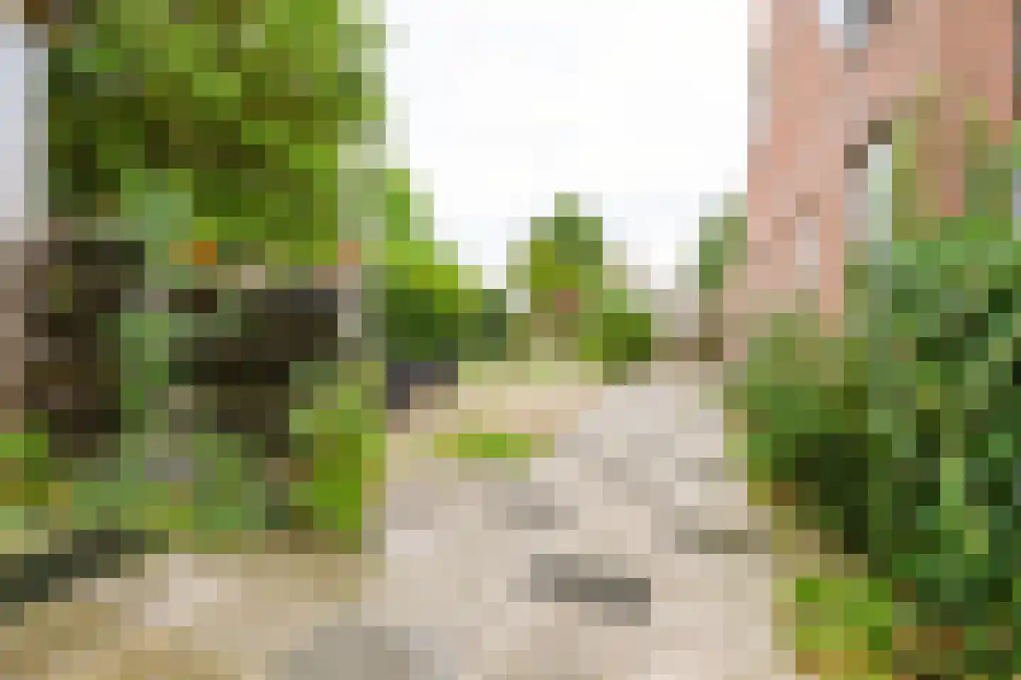 Herenstraat 49 Werkhoven thumbnail 25