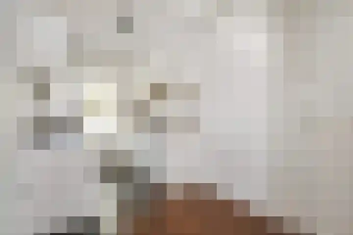 Herenstraat 5 A Monster thumbnail 11