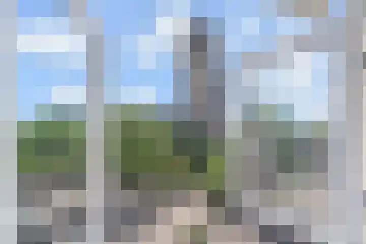 Herenstraat 5 A Monster thumbnail 31