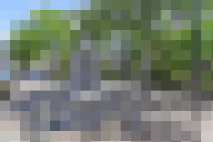 Herenstraat 5 A Monster thumbnail 35