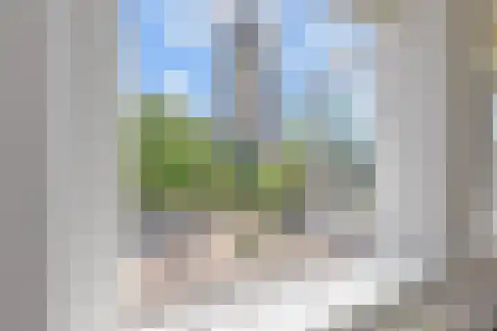 Herenstraat 5 A Monster thumbnail 6