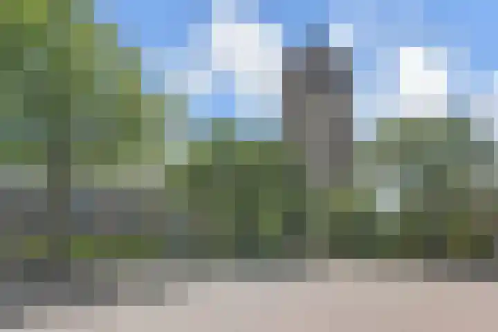 Herenstraat 5 A Monster thumbnail 8