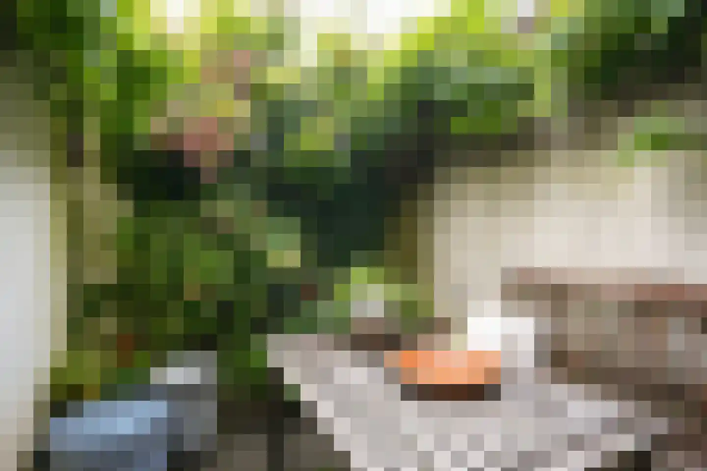 Herenstraat 5 Culemborg thumbnail 18