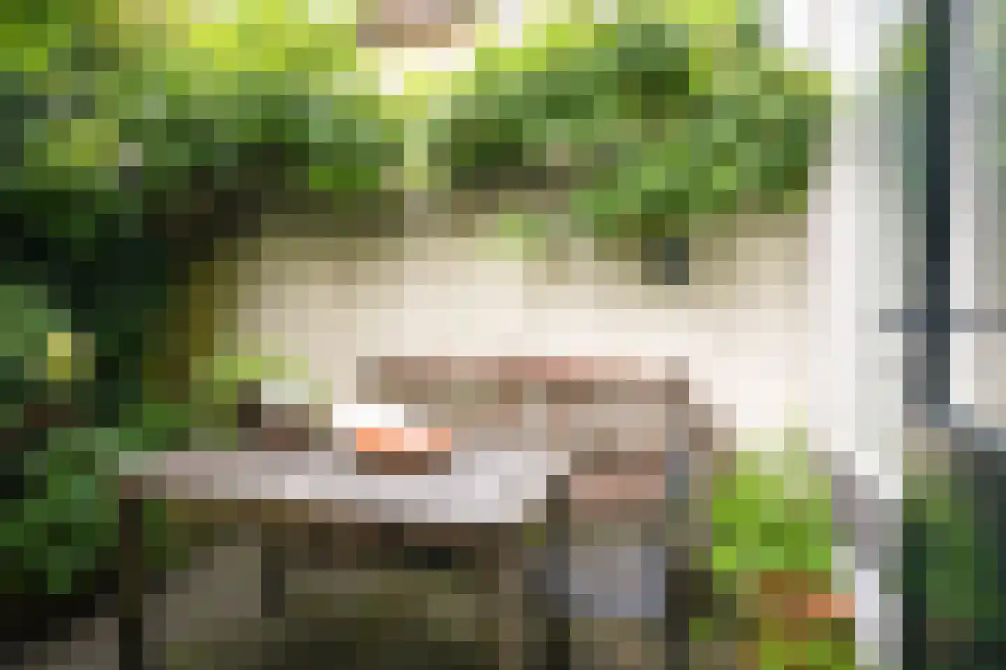 Herenstraat 5 Culemborg thumbnail 4