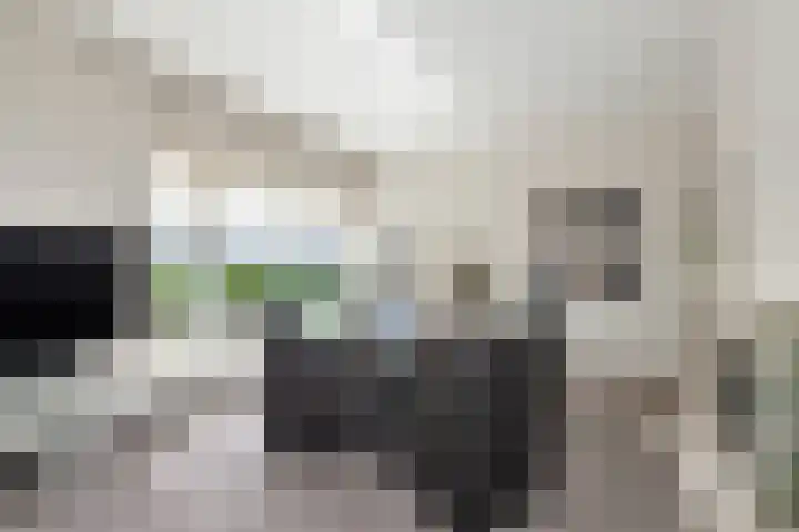Herenstraat 50 Wijchen thumbnail 16