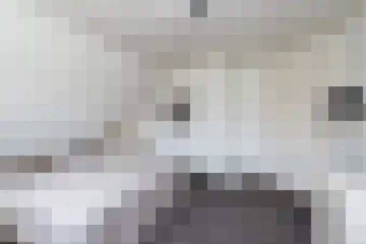 Herenstraat 50 Wijchen thumbnail 38