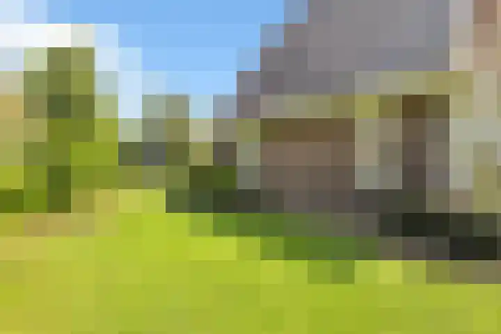 Herenstraat 50 Wijchen thumbnail 6