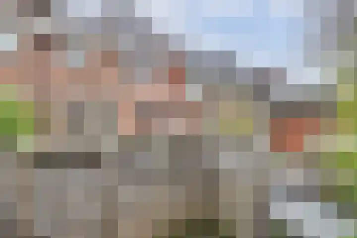 Herenstraat 54 Monster thumbnail 29