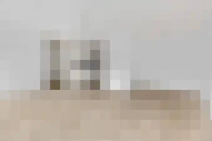 Herenstraat 54 Rhenen thumbnail 8