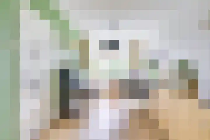 Herenstraat 56 Werkhoven thumbnail 4