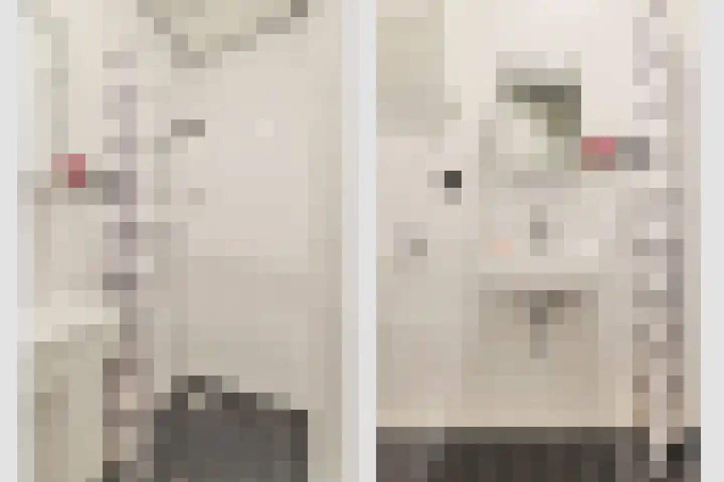 Herenstraat 6 A Utrecht thumbnail 25