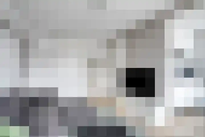 Herenstraat 6 d Culemborg thumbnail 8