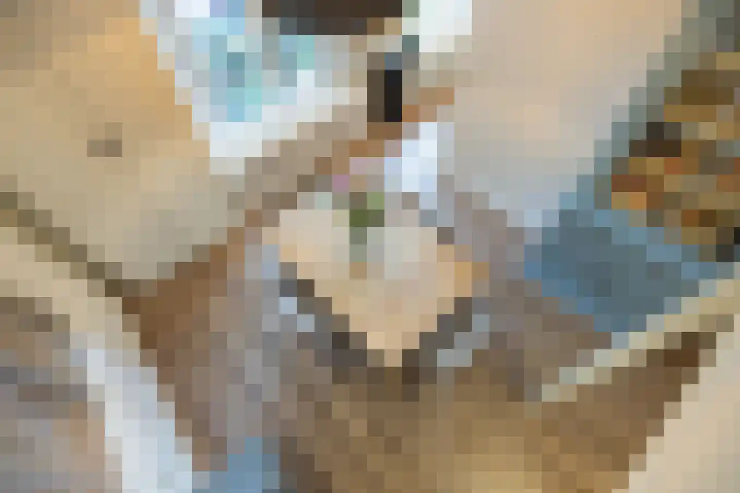 Herenstraat 6 P Utrecht thumbnail 19