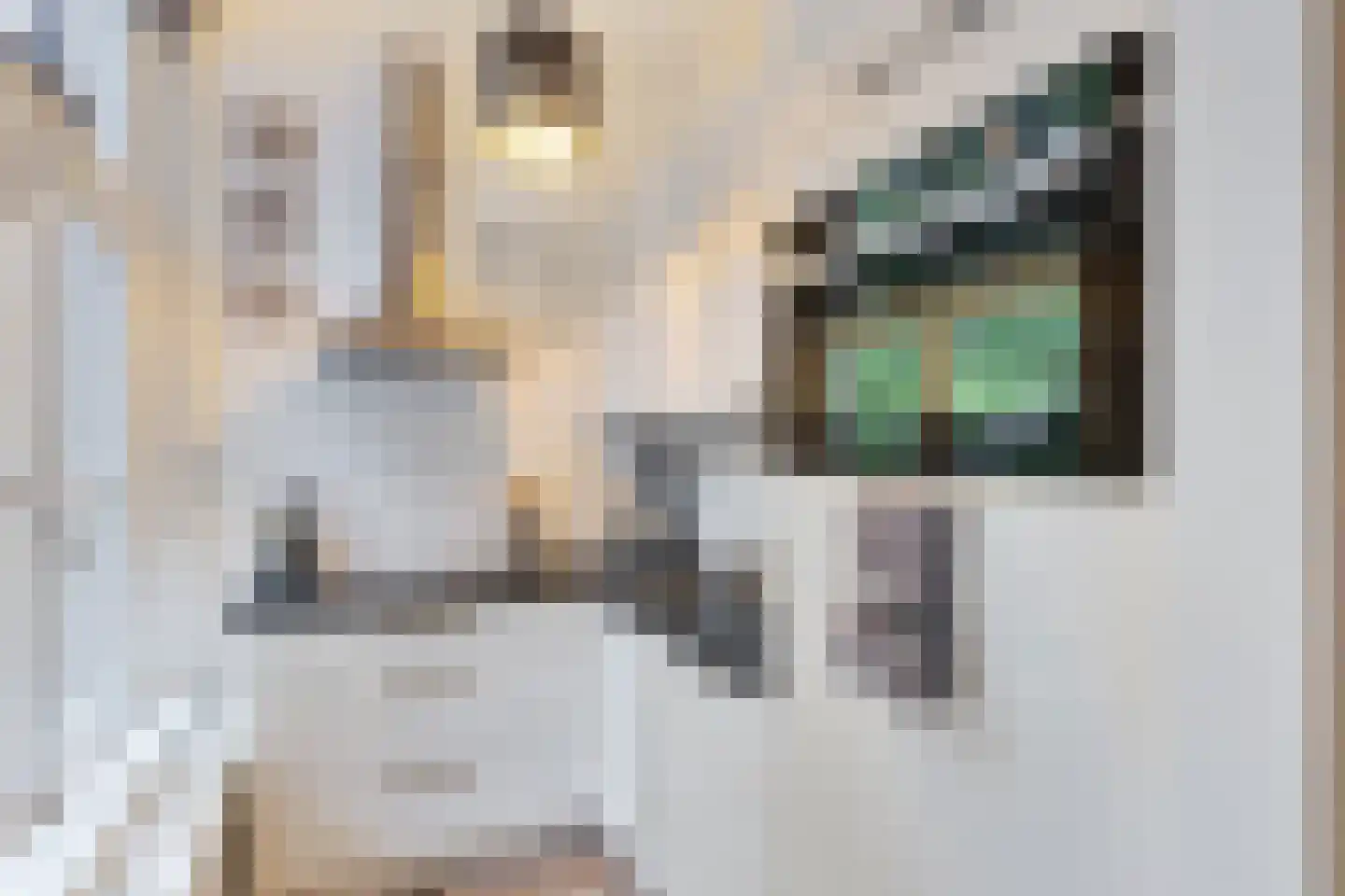 Herenstraat 6 P Utrecht thumbnail 21