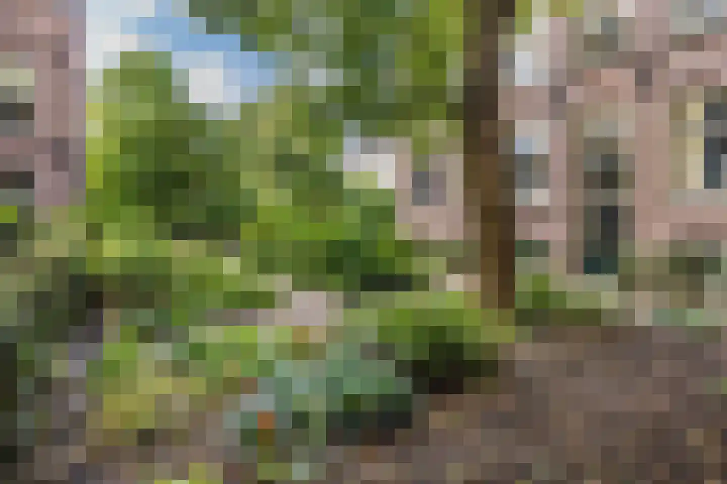 Herenstraat 6 P Utrecht thumbnail 28