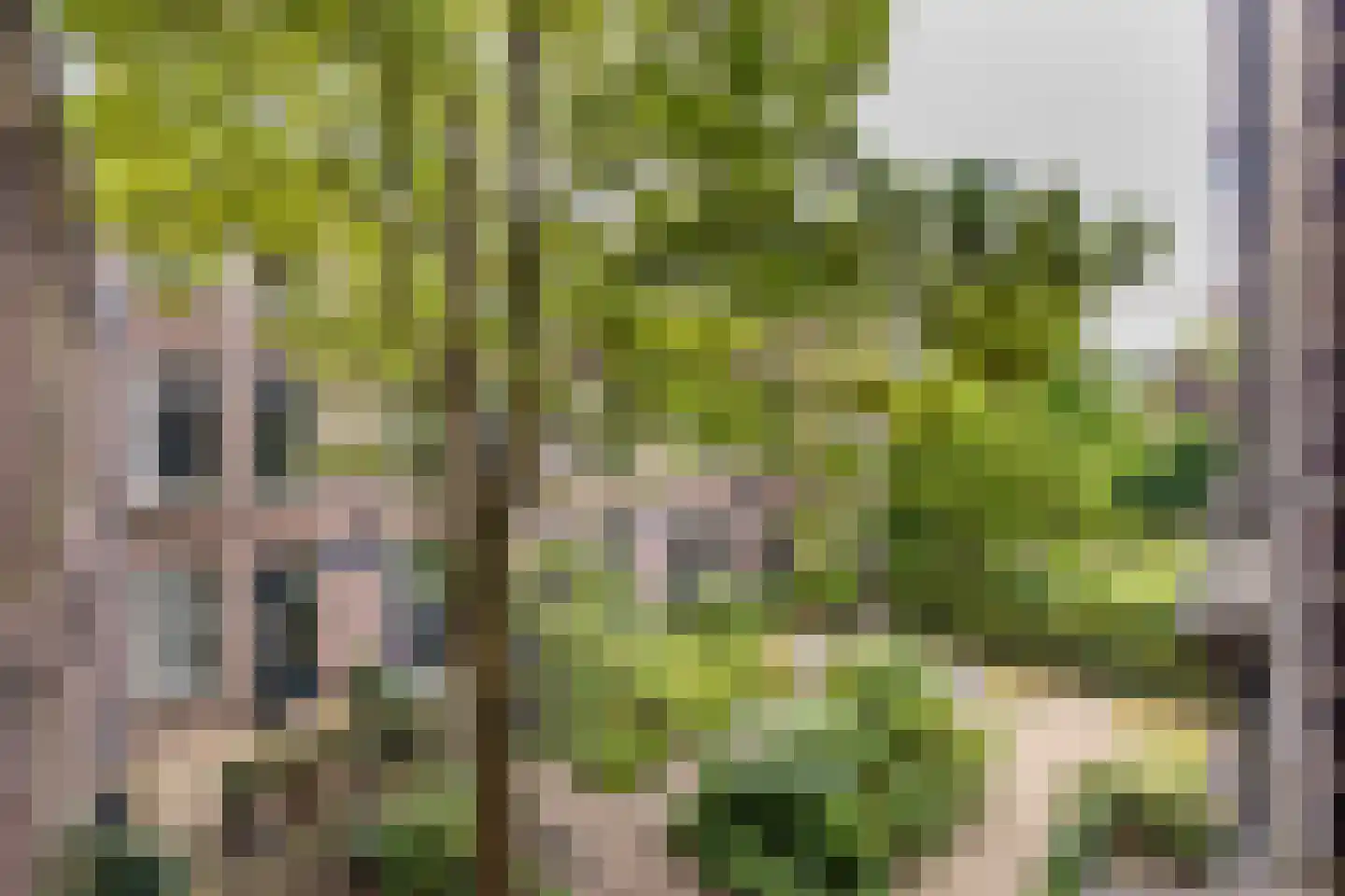 Herenstraat 6 P Utrecht thumbnail 32