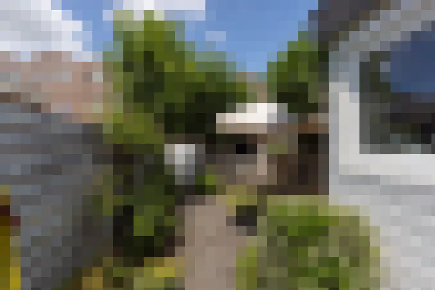 Herenstraat 6 Weesp thumbnail 6