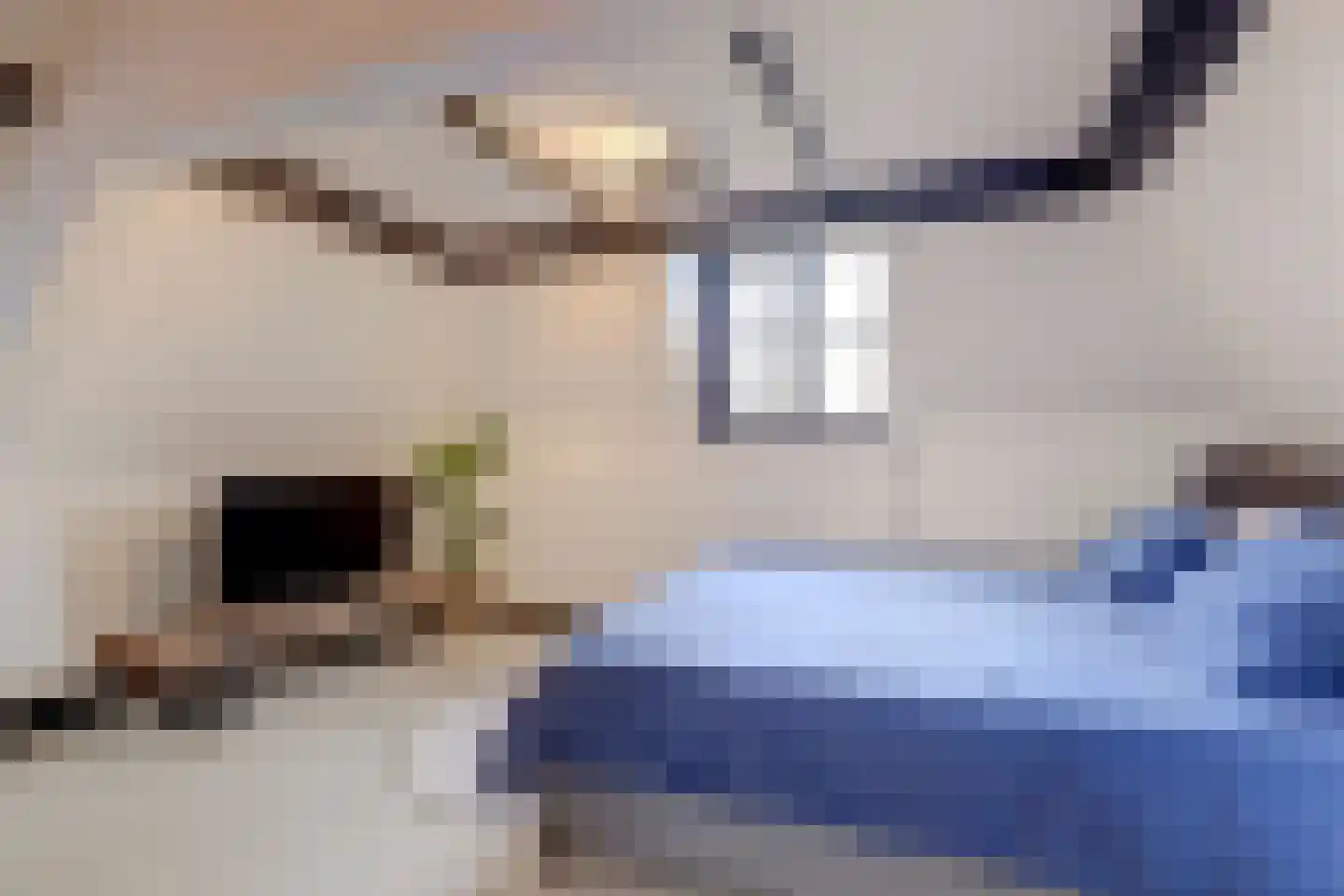 Herenstraat 60 A Voorburg thumbnail 38