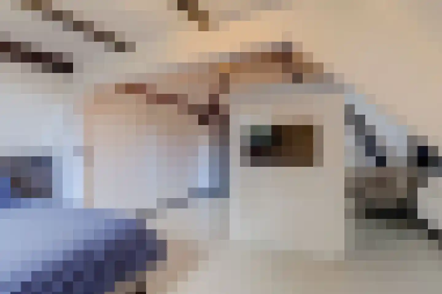 Herenstraat 60 A Voorburg thumbnail 39