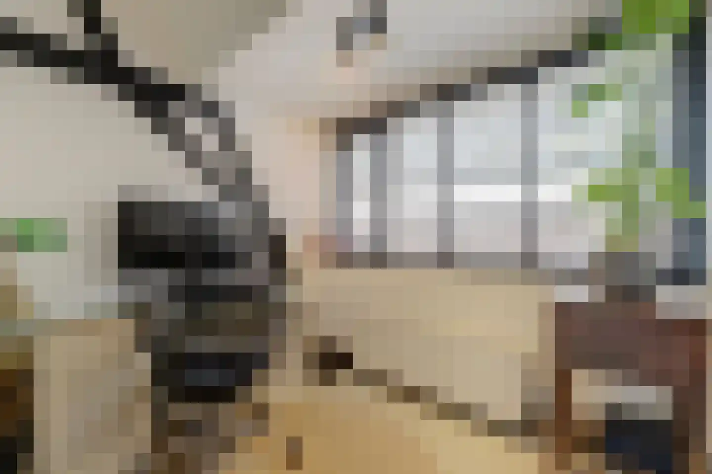 Herenstraat 60 A Voorburg thumbnail 44