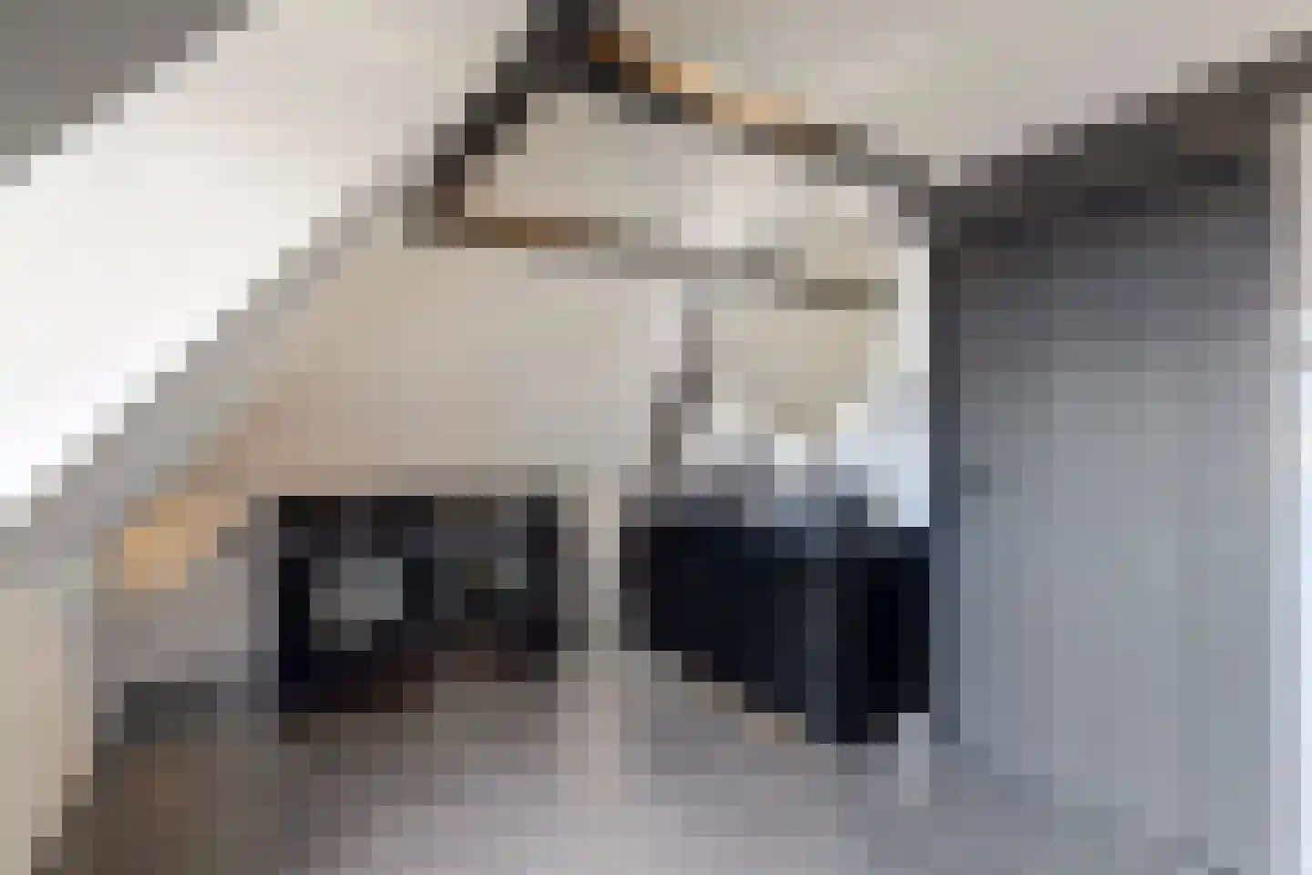 Herenstraat 60 A Voorburg thumbnail 49