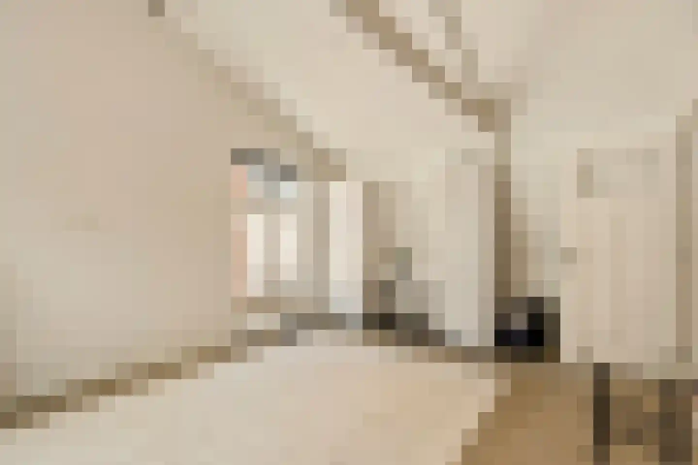 Herenstraat 63 Bussum thumbnail 12