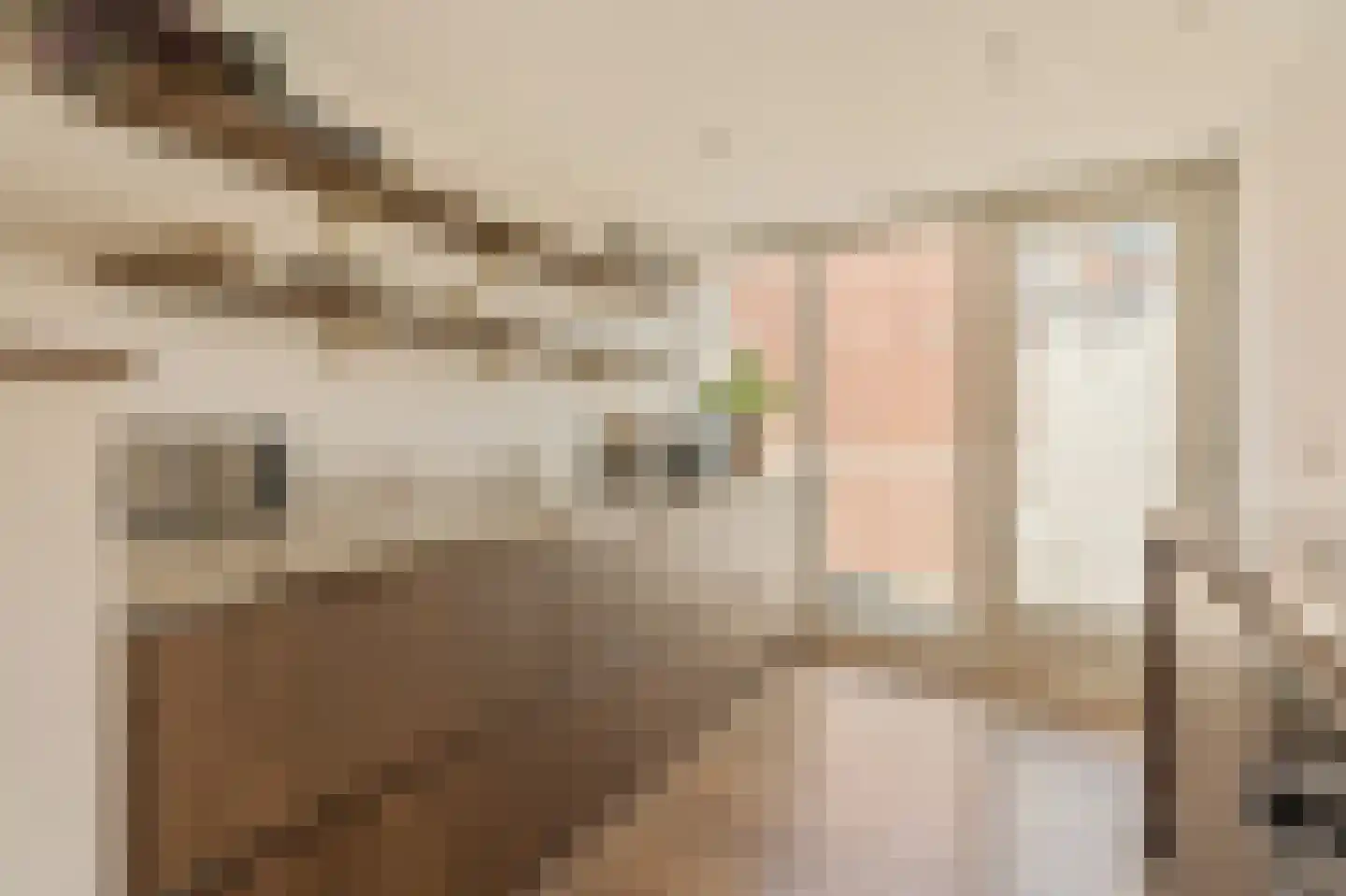 Herenstraat 63 Bussum thumbnail 8