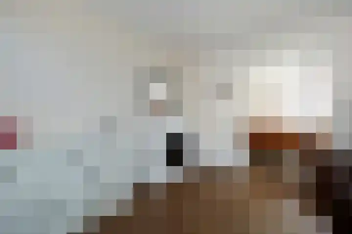 Herenstraat 63 Slagharen thumbnail 12