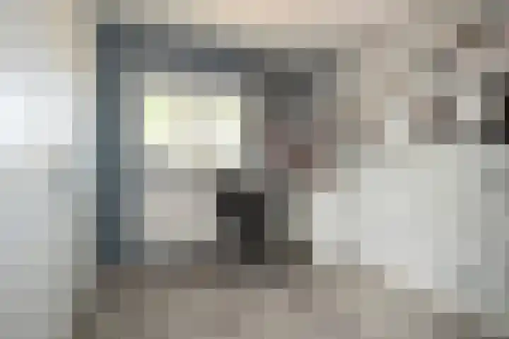 Herenstraat 63 Slagharen thumbnail 25