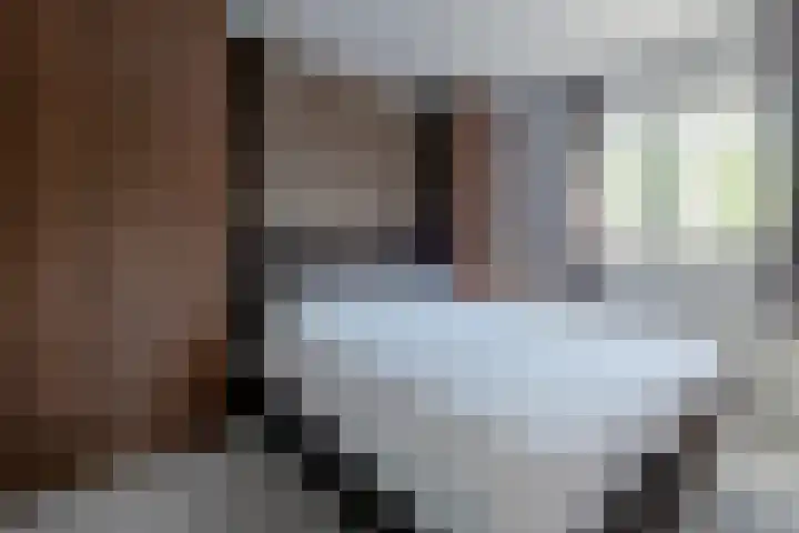 Herenstraat 63 Slagharen thumbnail 27