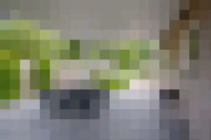 Herenstraat 63 Slagharen thumbnail 35