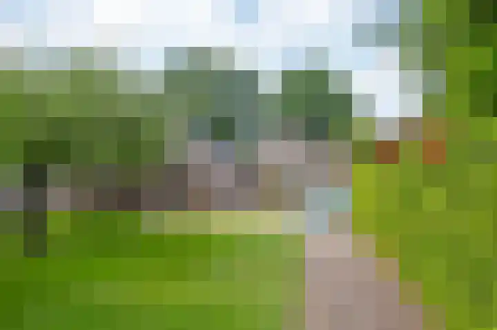 Herenstraat 63 Slagharen thumbnail 37